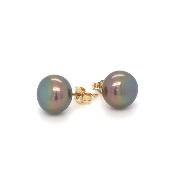 14ct yellow gold Black Freshwater Pearl Stud Earrings