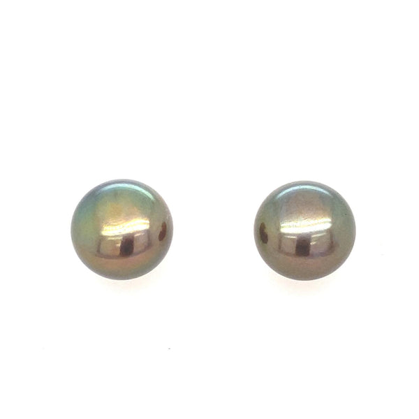 14ct yellow gold Black Freshwater Pearl Stud Earrings