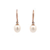 9ct Rose Gold White Freshwater Pearl Hook Earrings