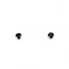 9ct Yellow Gold Small Sapphire stud Earrings
